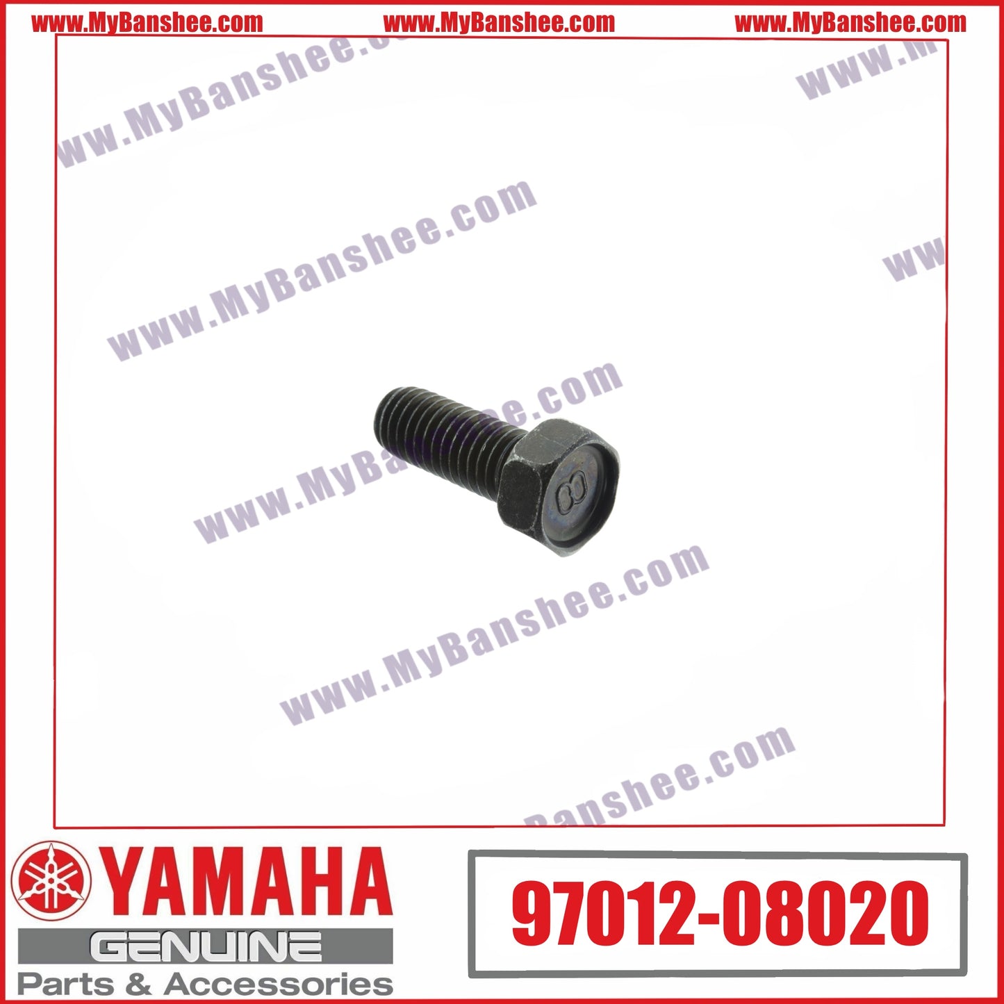 10. 97012-08020 Vis