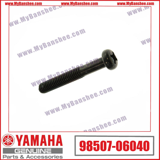 10. 98507-06040 Vis