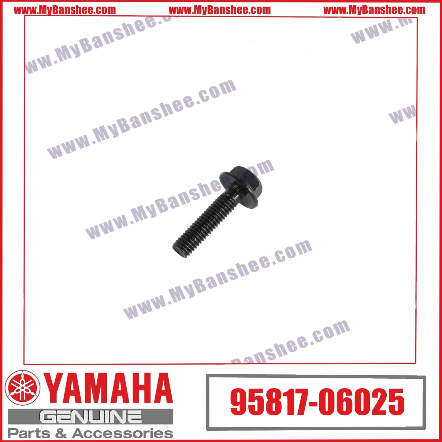 13. 95817-06025 Tornillo