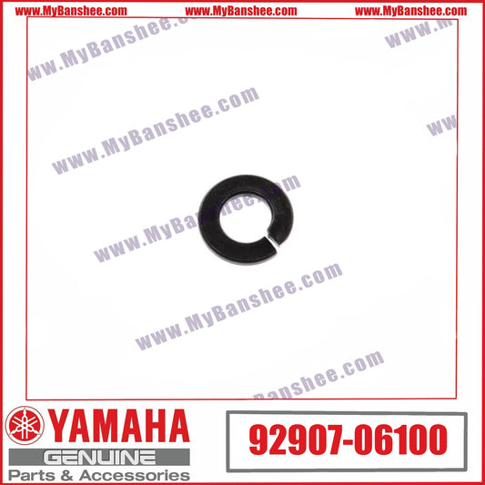 18. 92907-06100 Rondelle