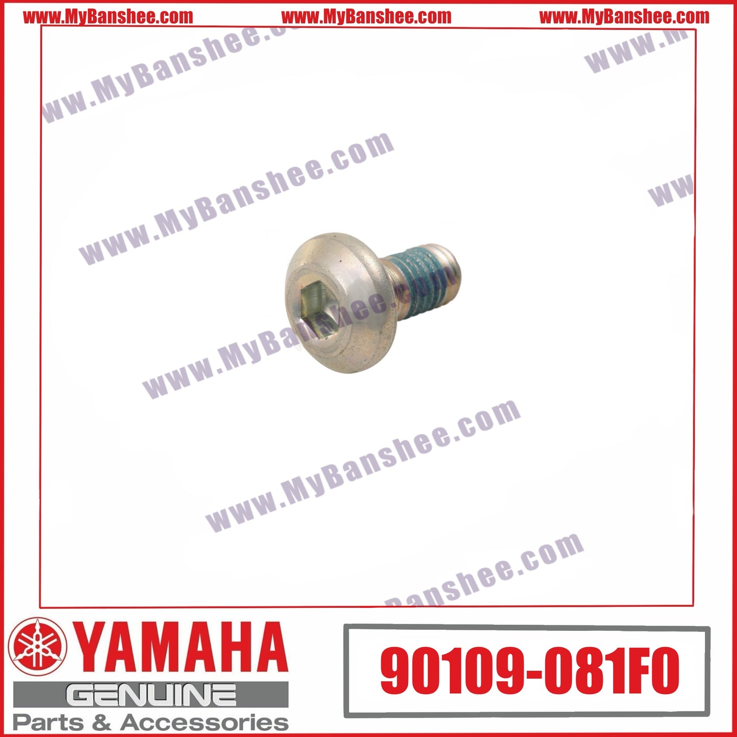 3. 90109-081F0 Vis