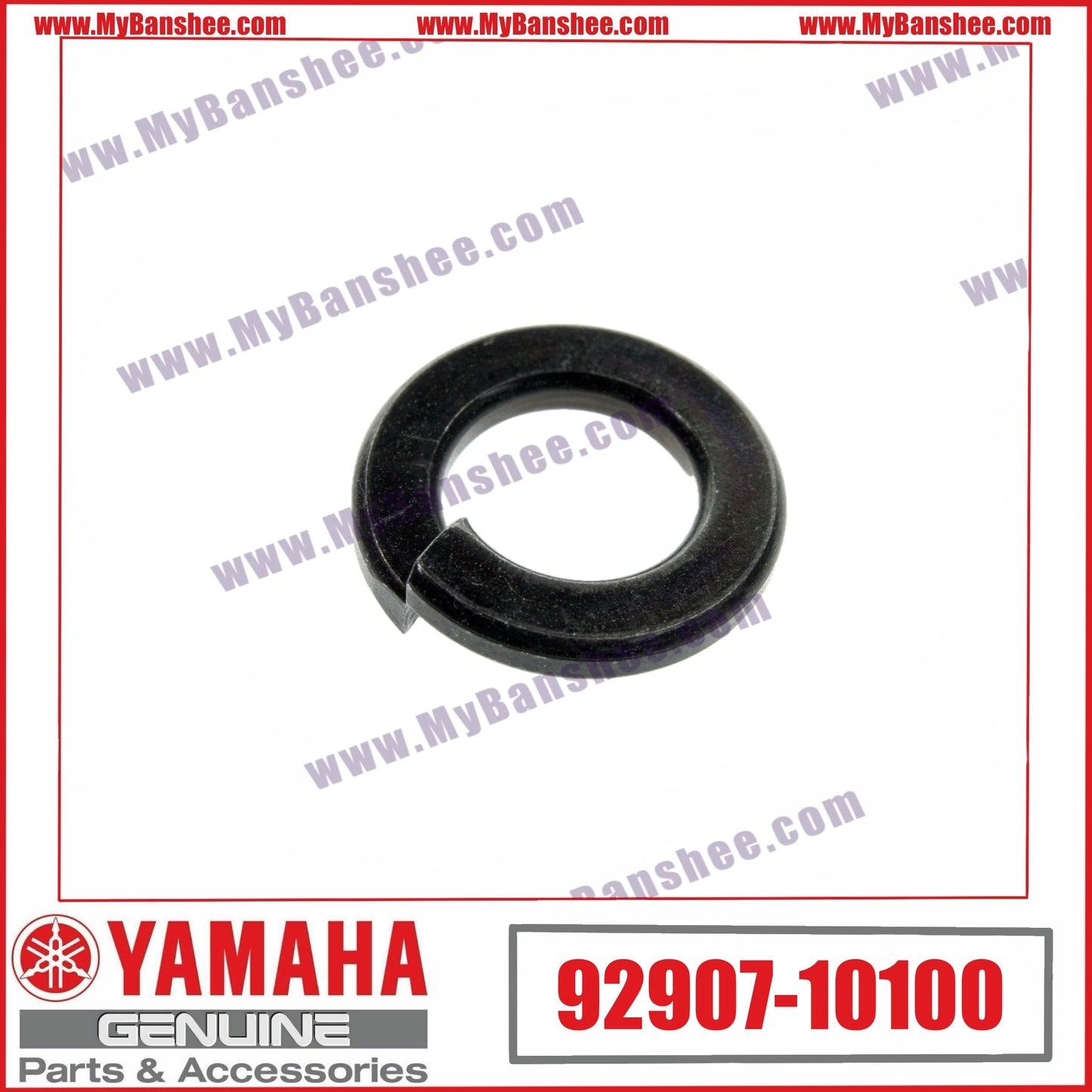 36. 92907-10100 Rondelle