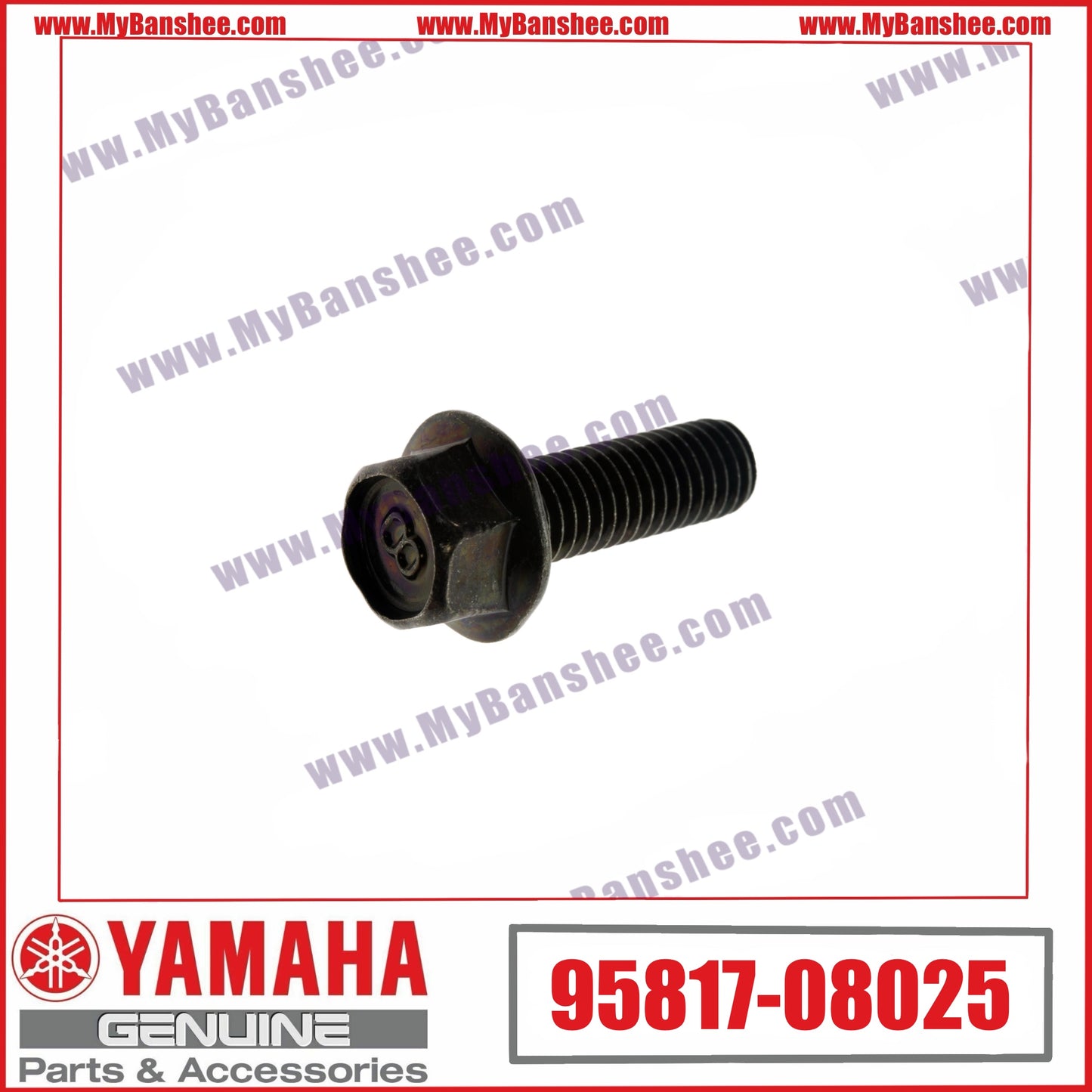 4. 94817-08025 Screw