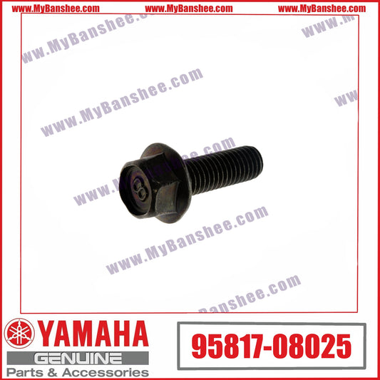 4. 94817-08025 Screw