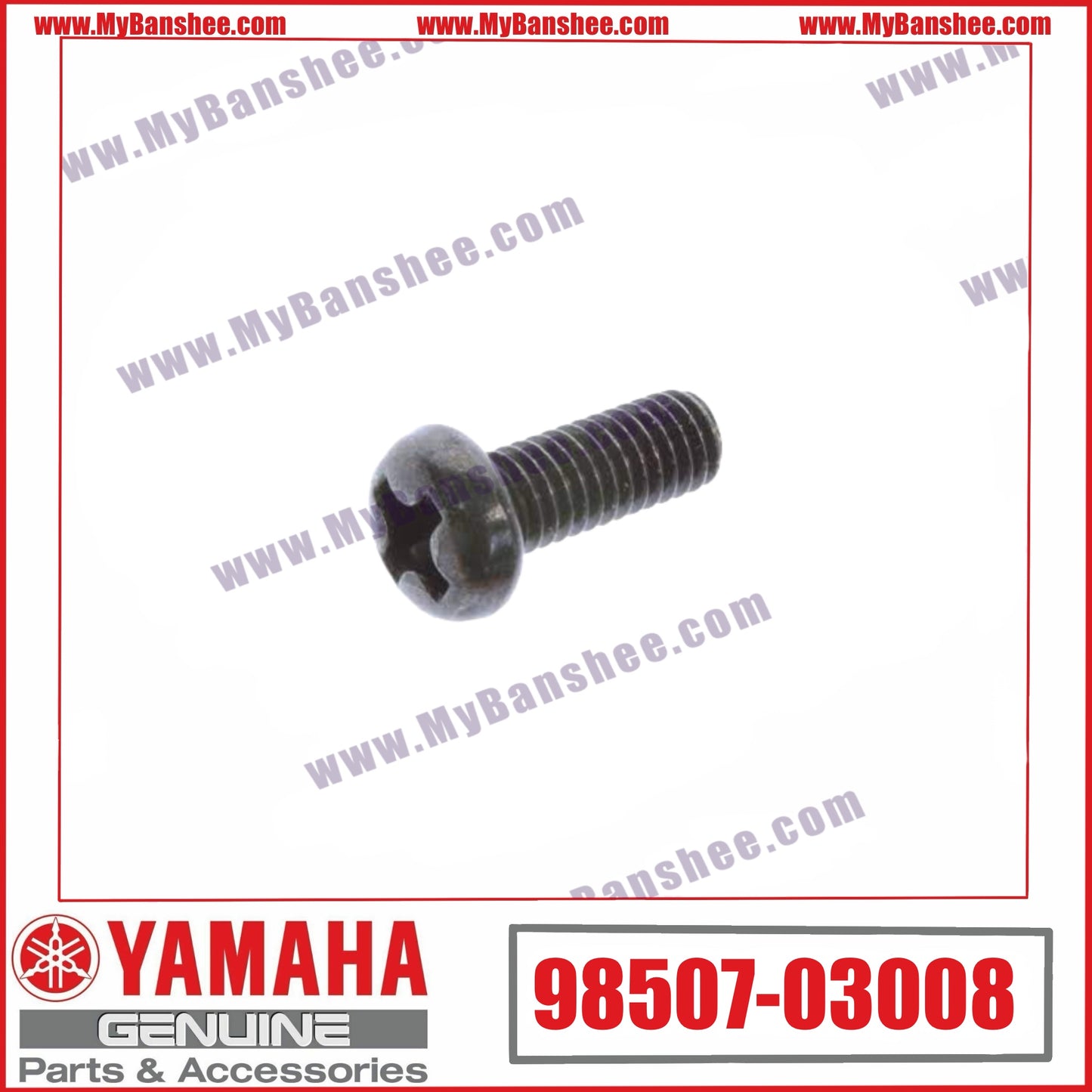4. 98507-03008 Vis
