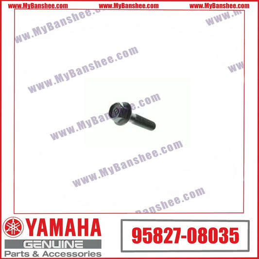 5. 95827-08035 Screw