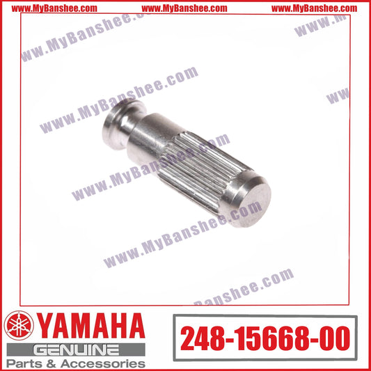 6. 248-15668-00 Arrêt