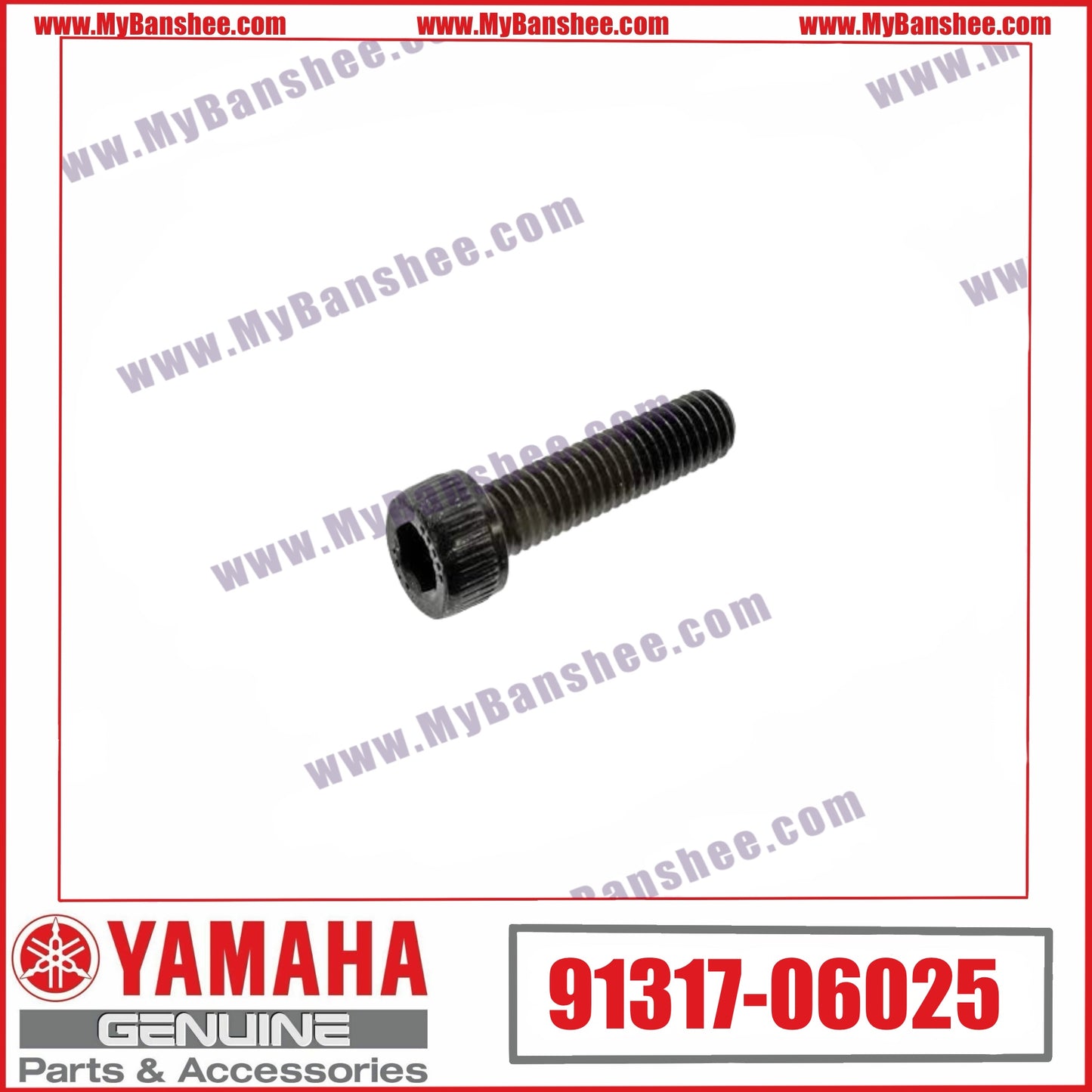 8. 91317-06025 Vis