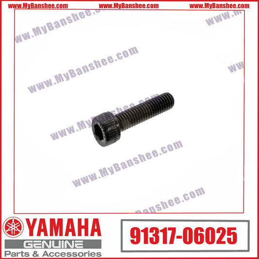 8. 91317-06025 Screw