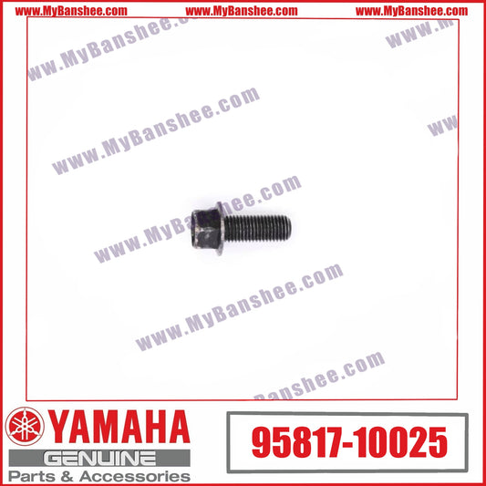 9. 95817-10025 Tornillo