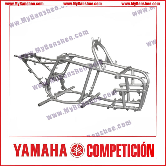 Lone Star Racing Chassis