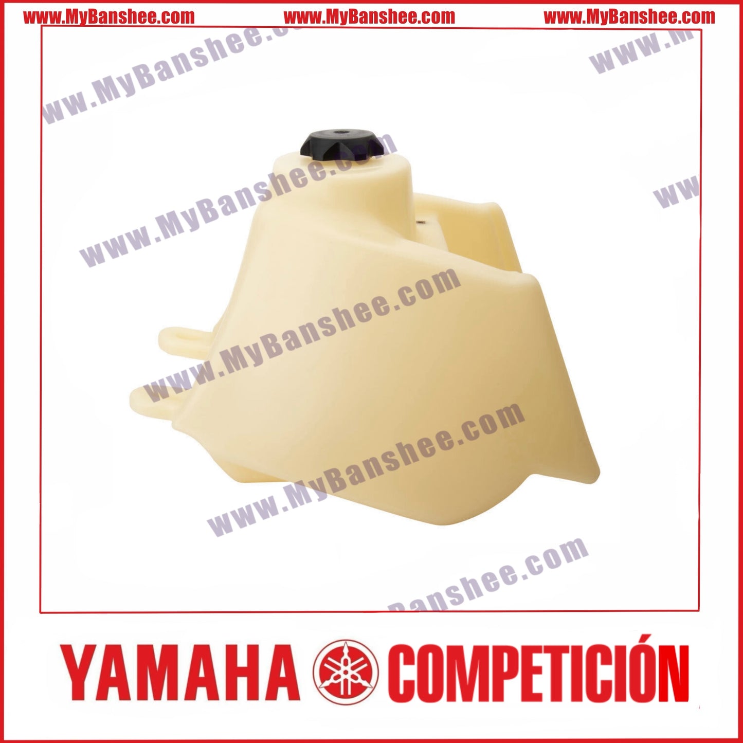 IMS 21 Liter Gasoline Tank