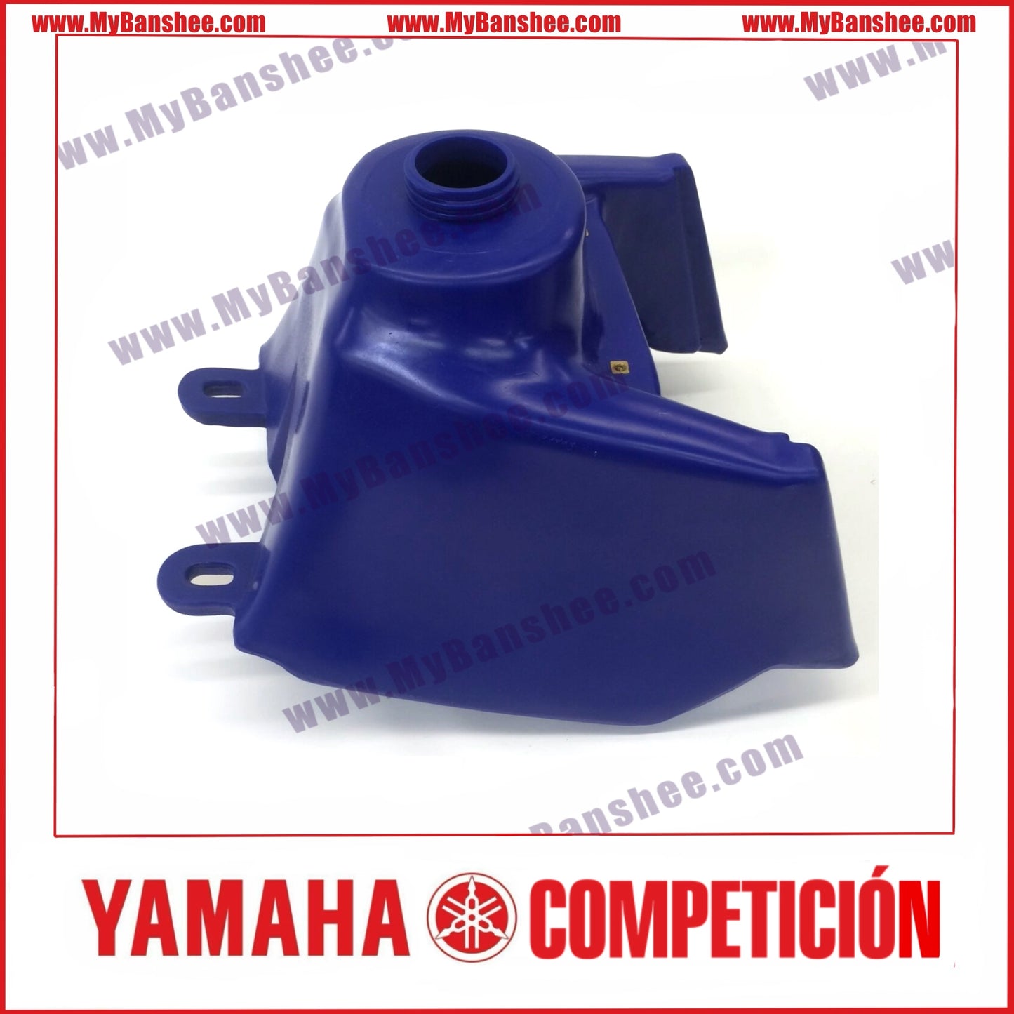 IMS 21 Liter Gasoline Tank