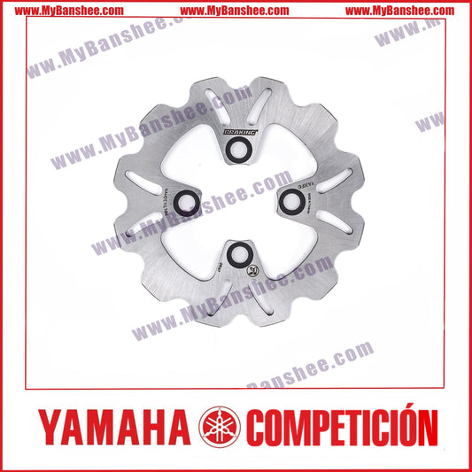 Front Braking Discs