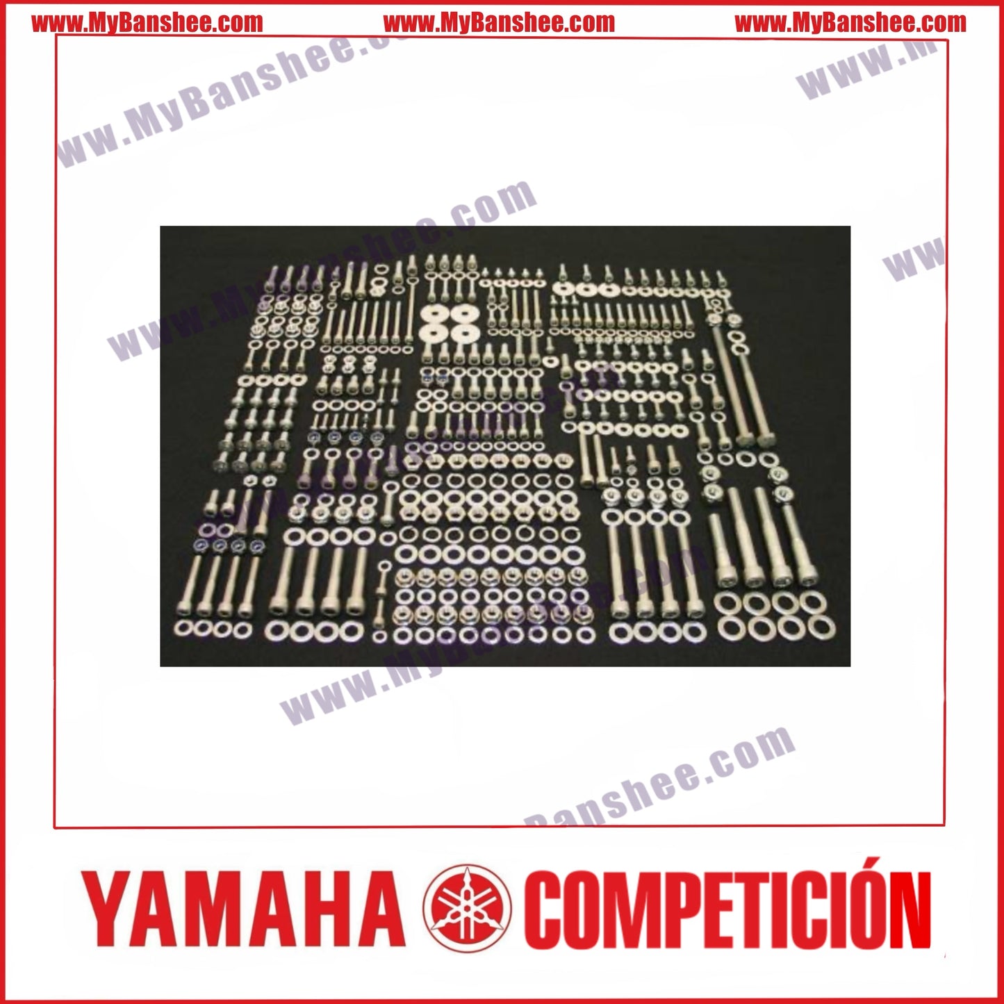 Kit de vis en acier inoxydable poli