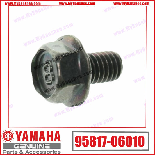 10. 95817-06010 Tornillo