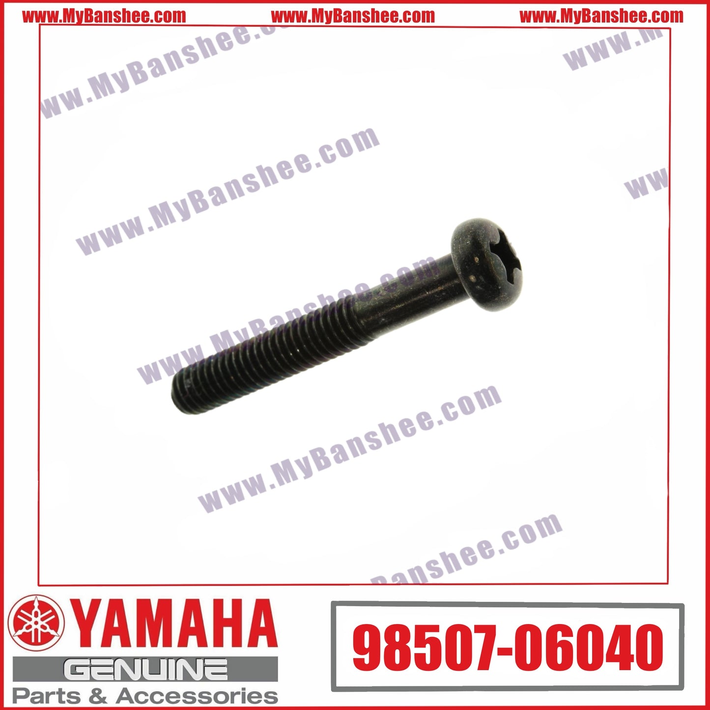 10. 98507-06040 Tornillo