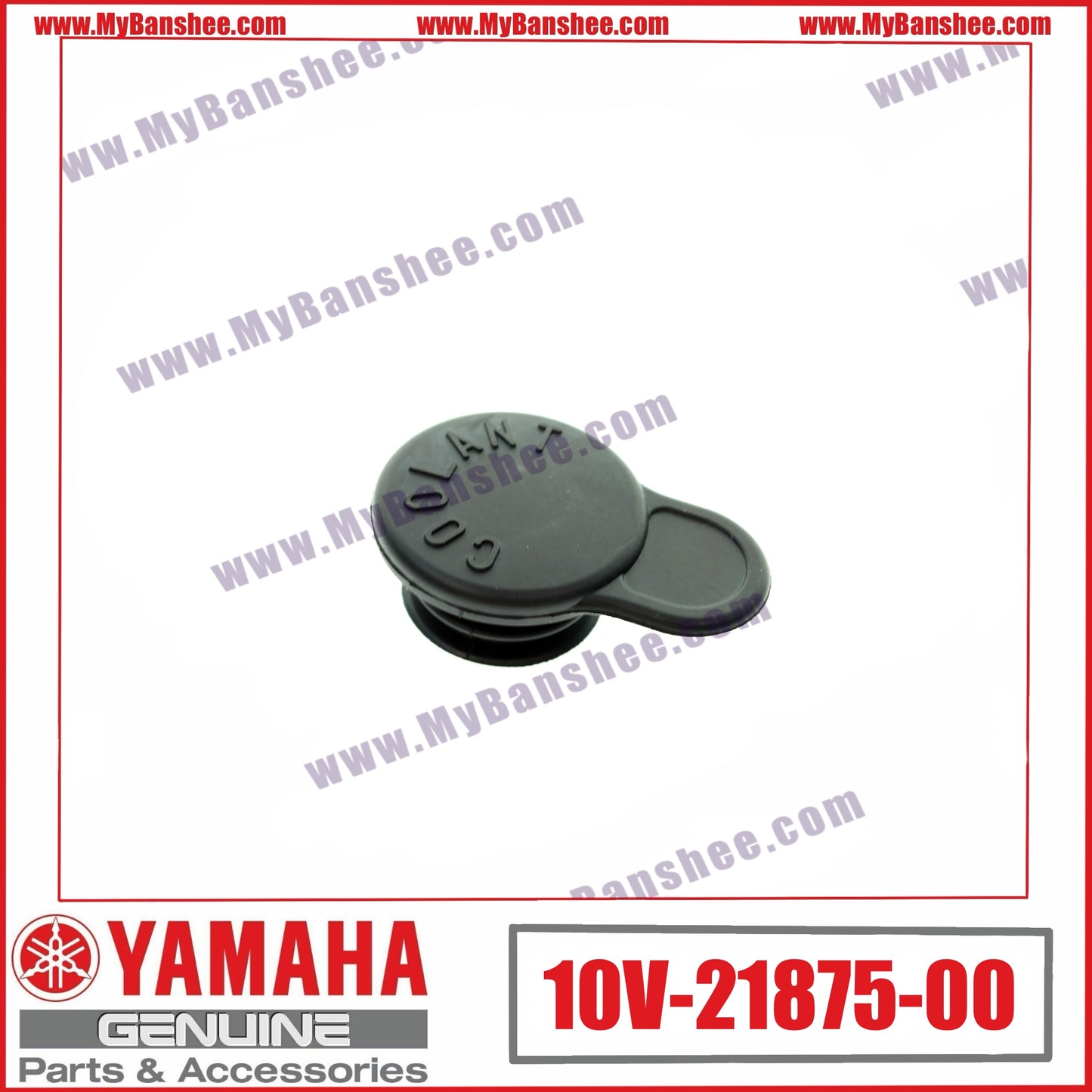 13. 10V-21875-00 Plug