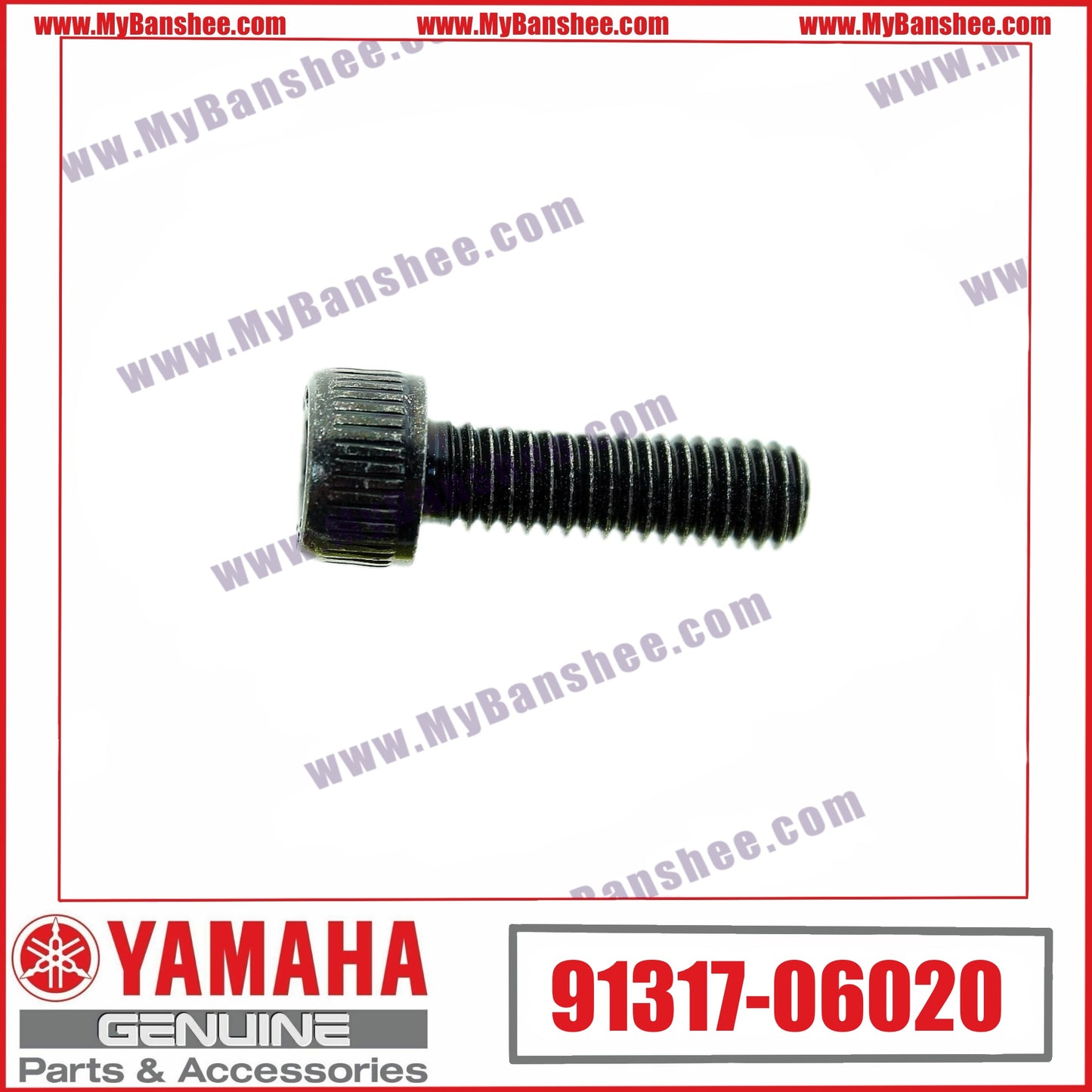 14. 91317-06020 Vis