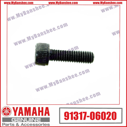 14. 91317-06020 Vis
