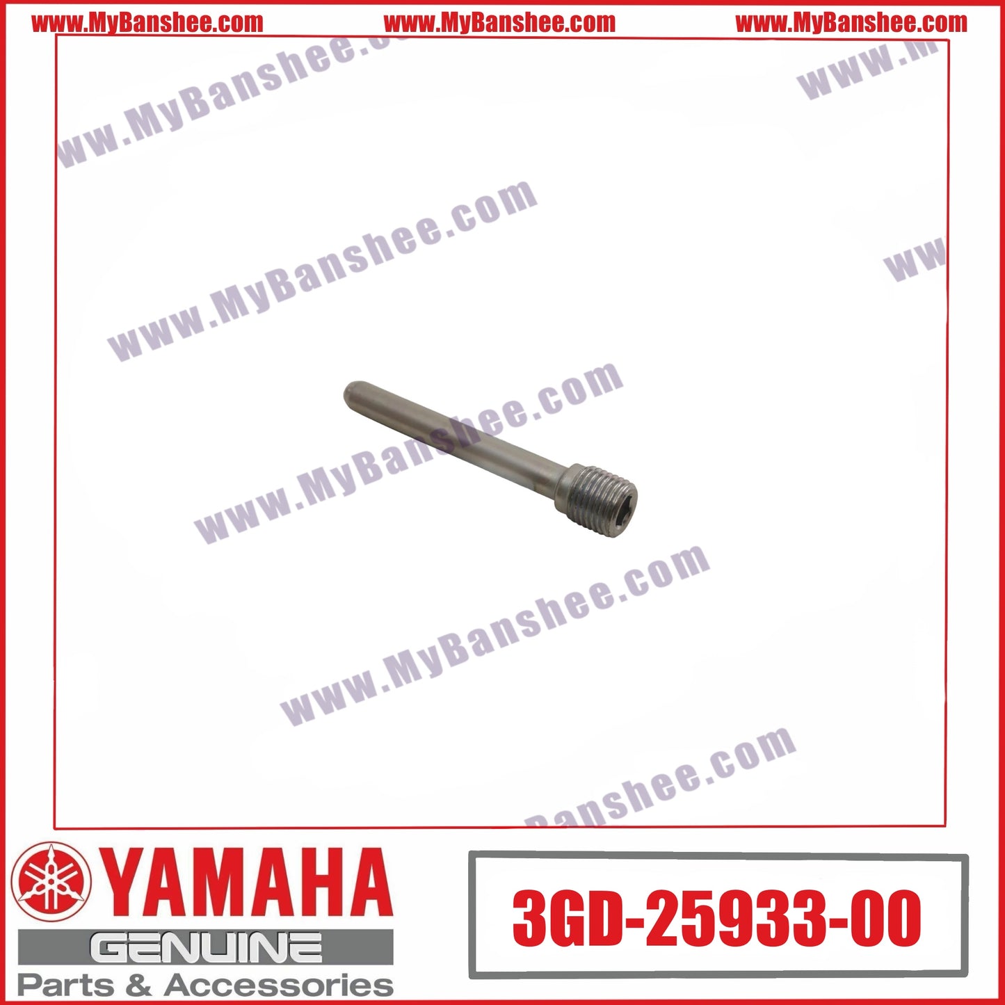 16. 3GD-25933-00 Pasante