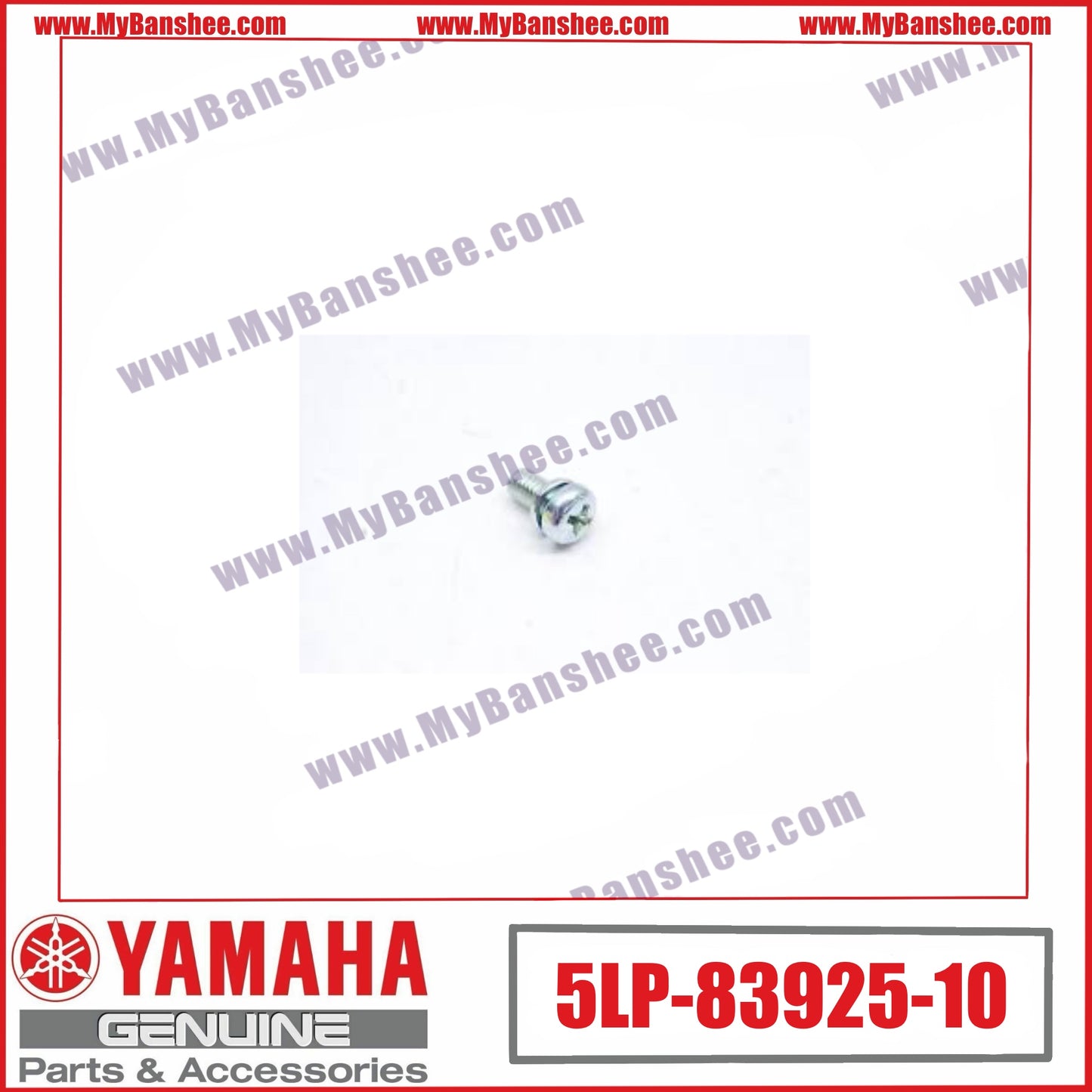 17. 5LP-83925-10 Screw