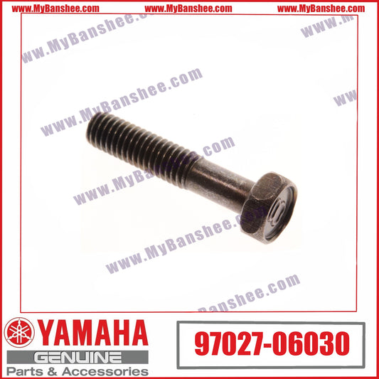 17. 97027-06030 Tornillo