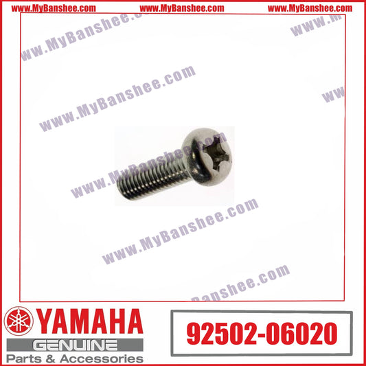18. 92502-06020 Tornillo