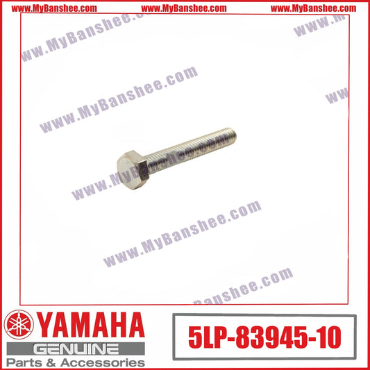 19. 5LP-83945-10 Screw