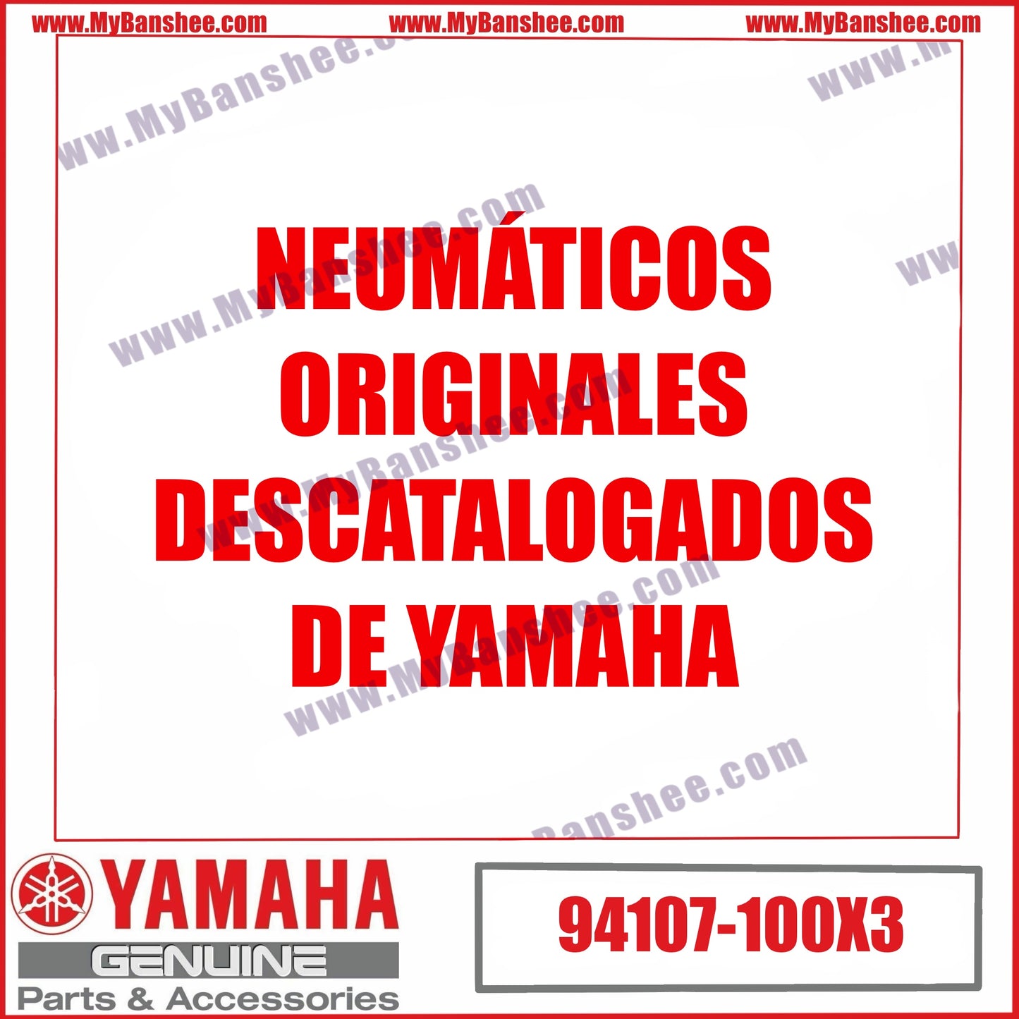 2. 94107-100X3 Neumático Delantero