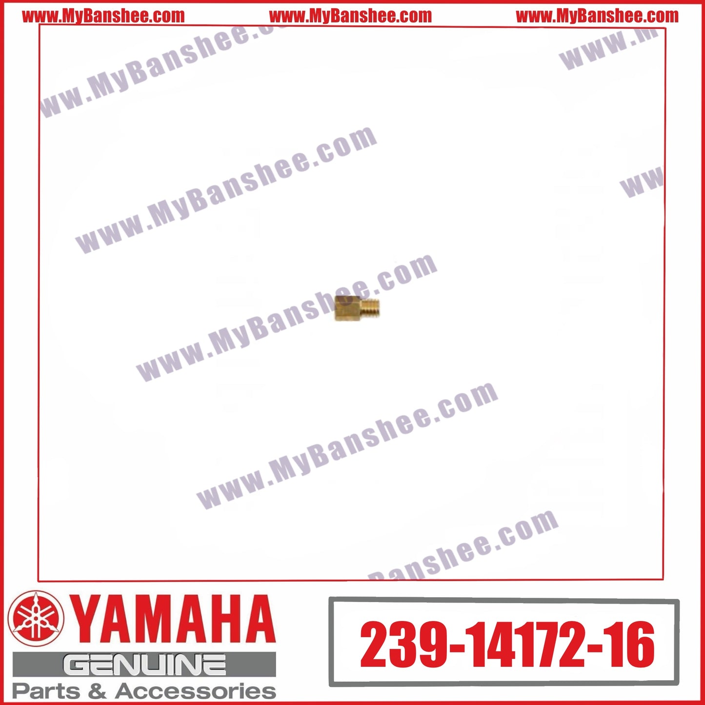 20. 239-14172-16 Injecteur