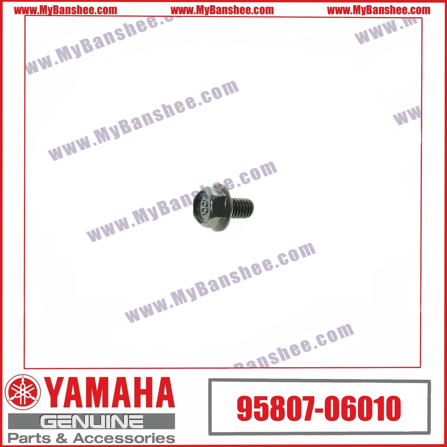 20. 95807-06010 Tornillo
