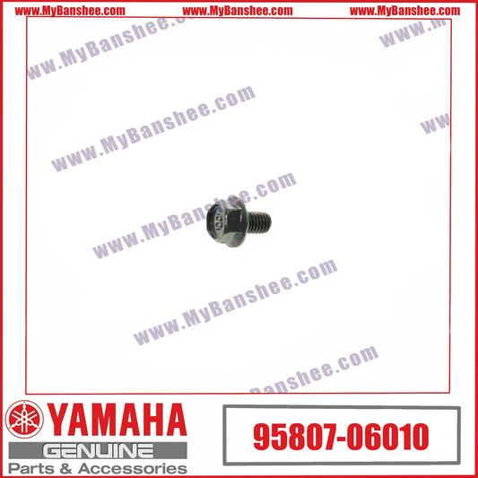 20. 95807-06010 Tornillo