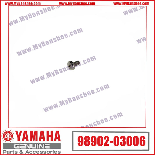 21. 98902-03006 Tornillo