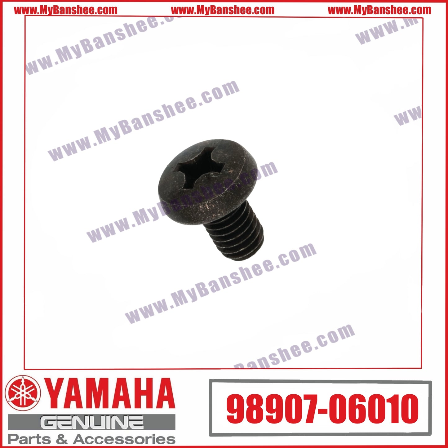 23. 98907-06010 Tornillo