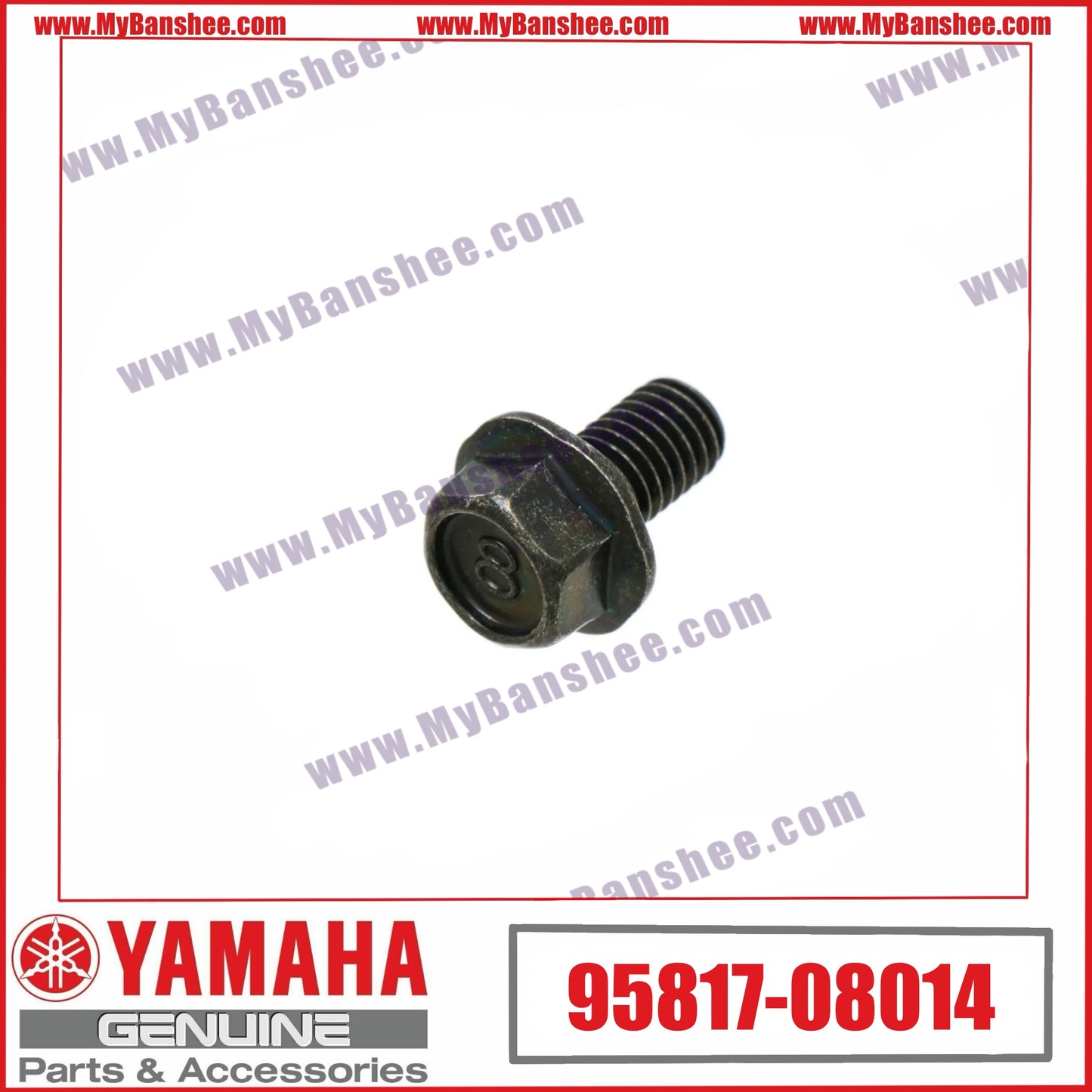 3. 95817-08014 Tornillo