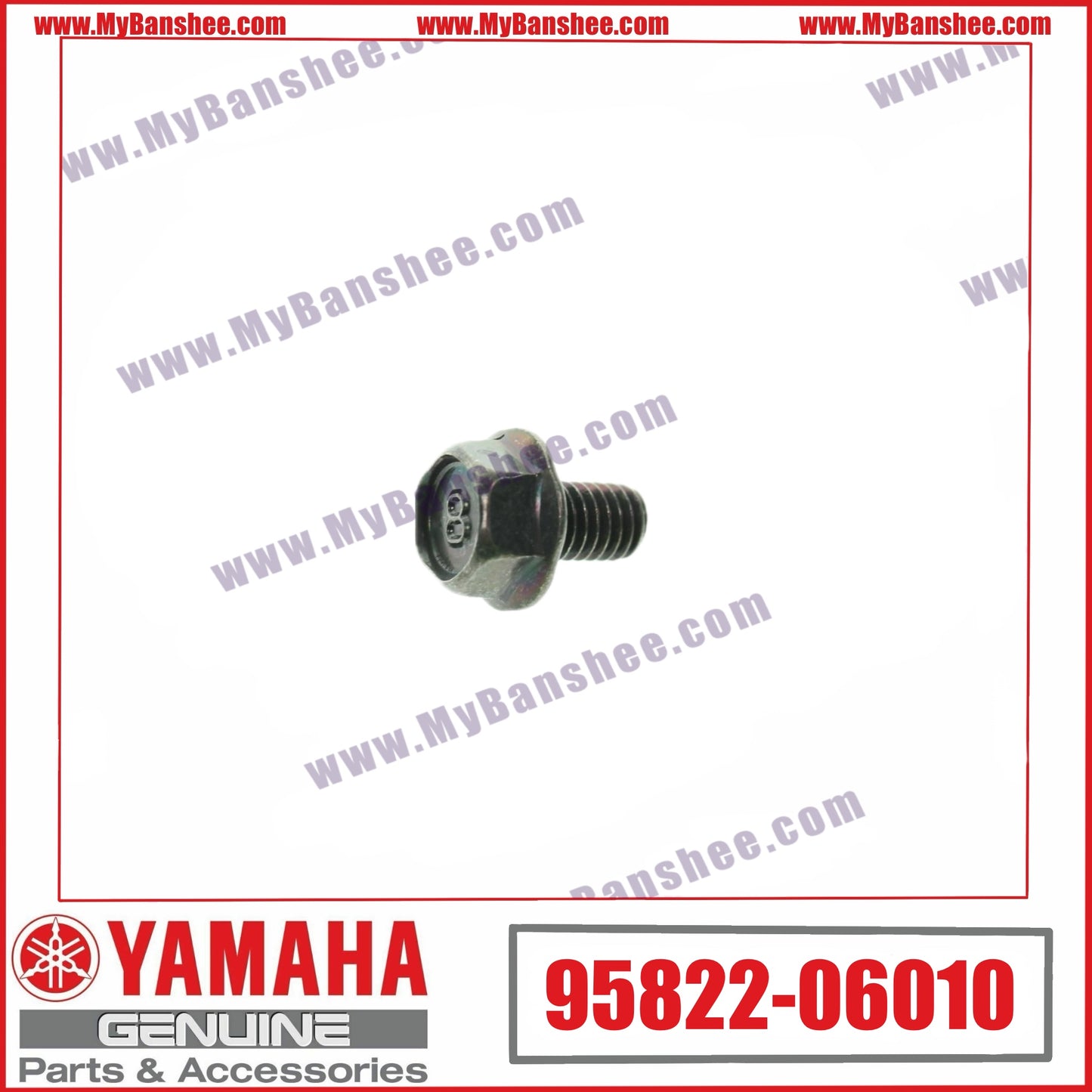4. 95822-06010 Tornillo