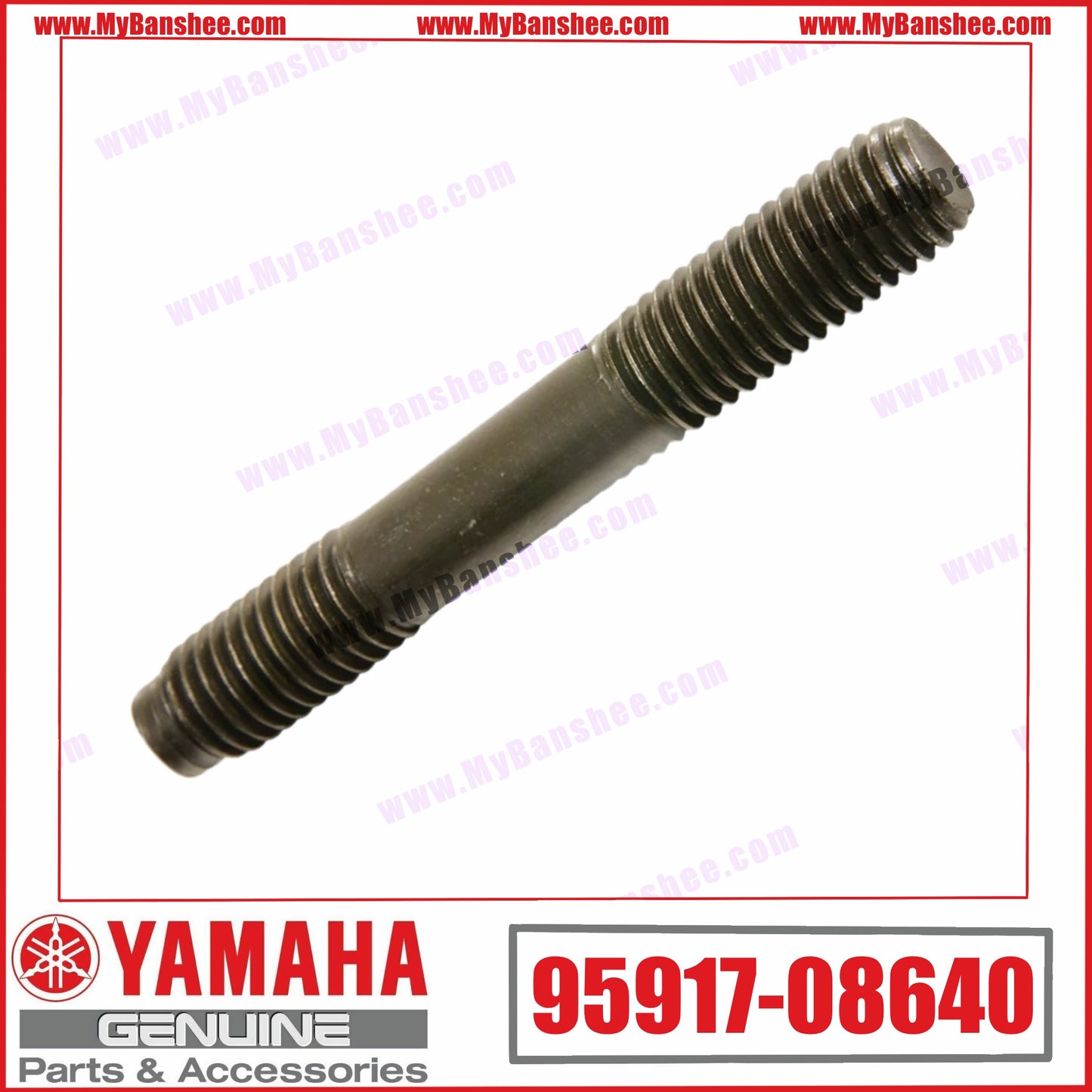 4. 95917-08640 Asperges