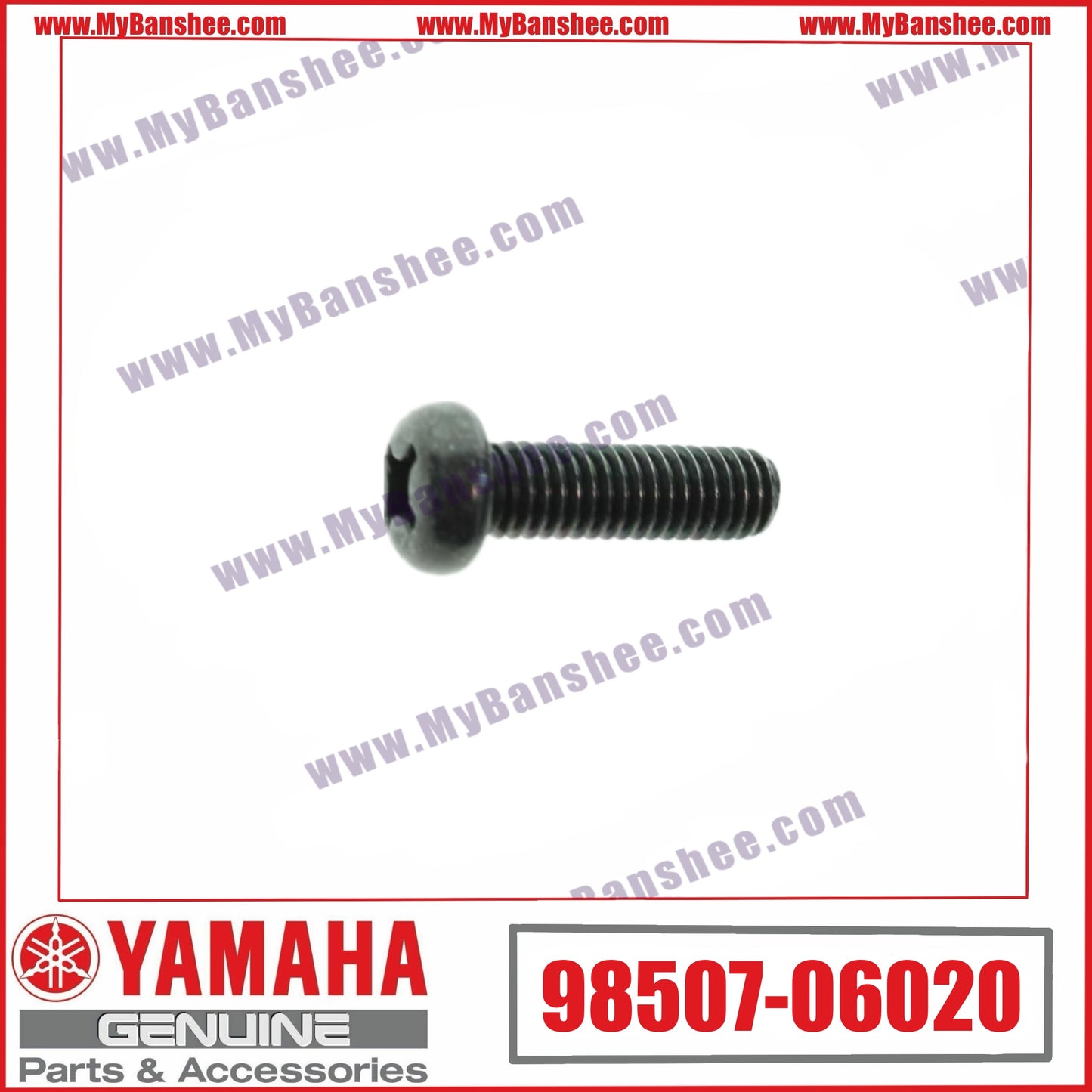 4. 98507-06020 Tornillo