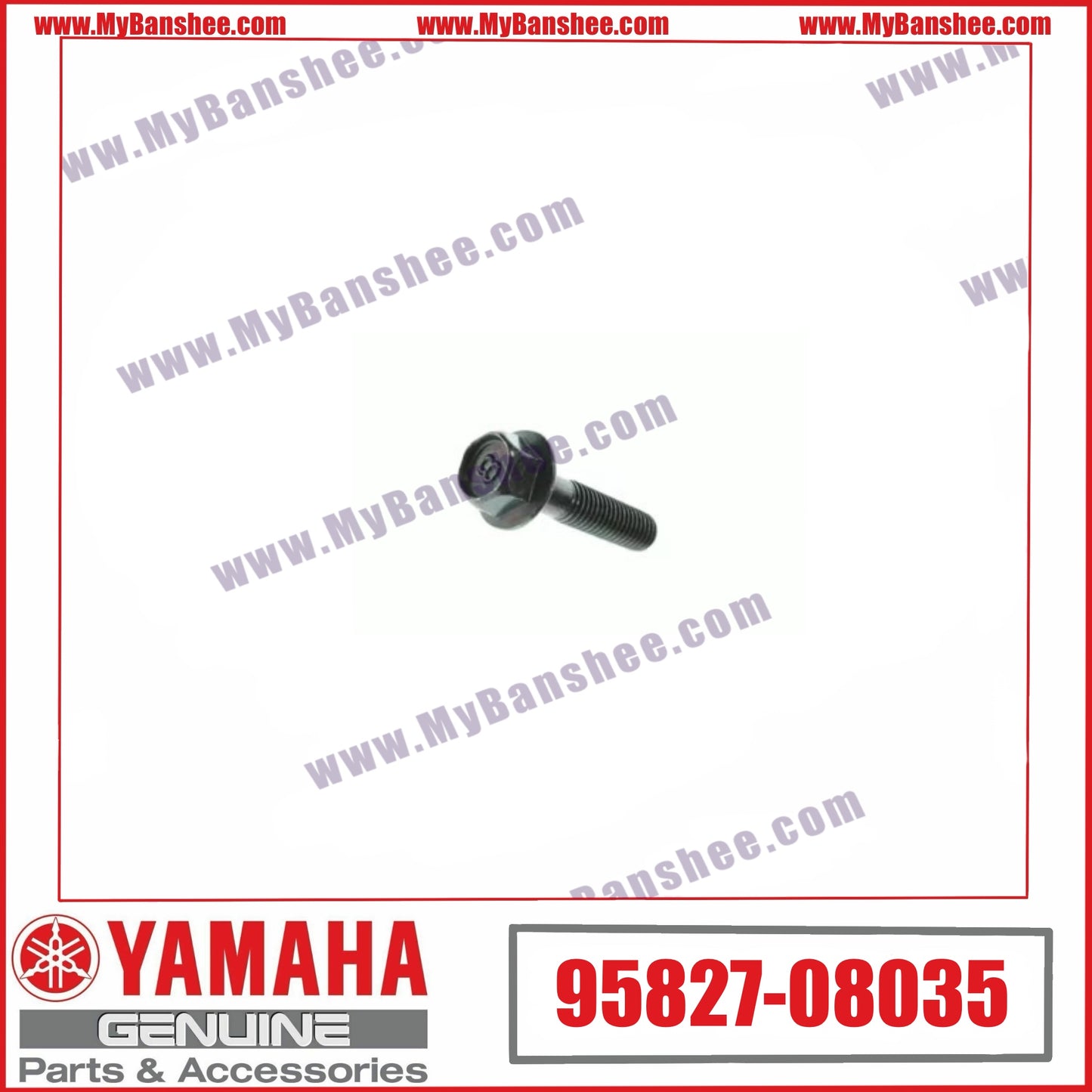 5. 95827-08035 Screw