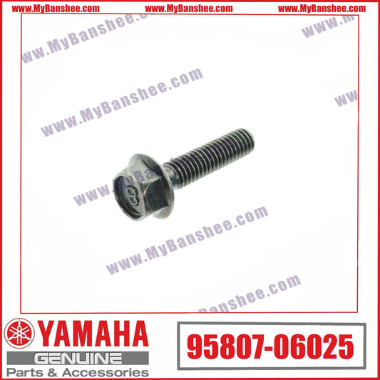 6. 95807-06025 Vis