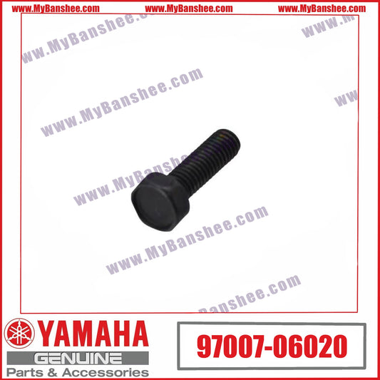 7. 97007-06020 Tornillo