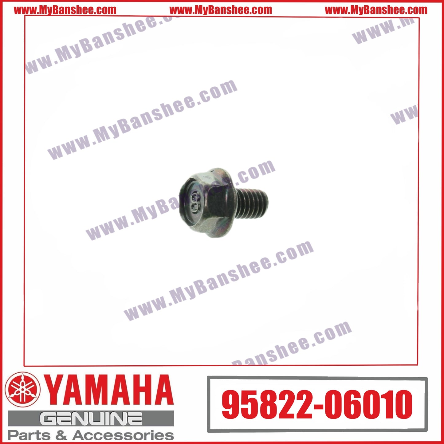 8. 95822-06010 Tornillo