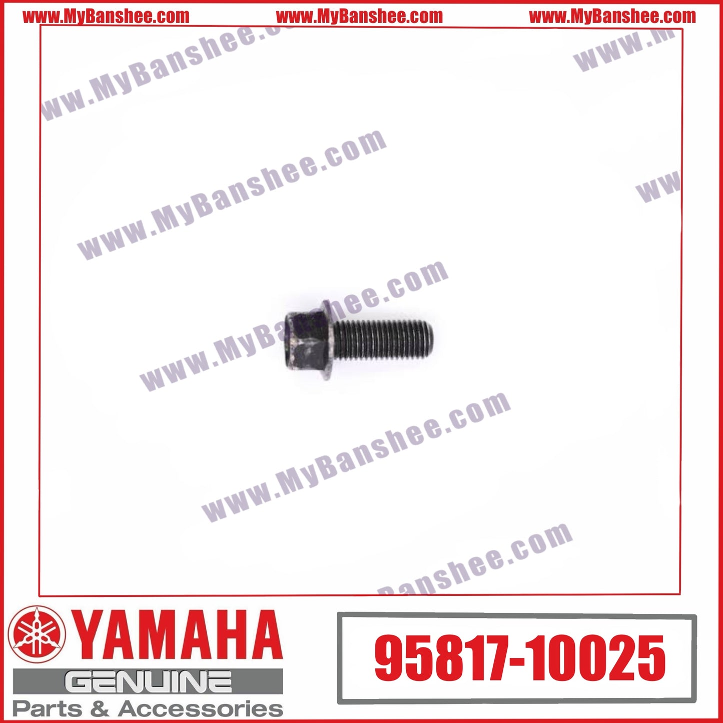 9. 95817-10025 Tornillo
