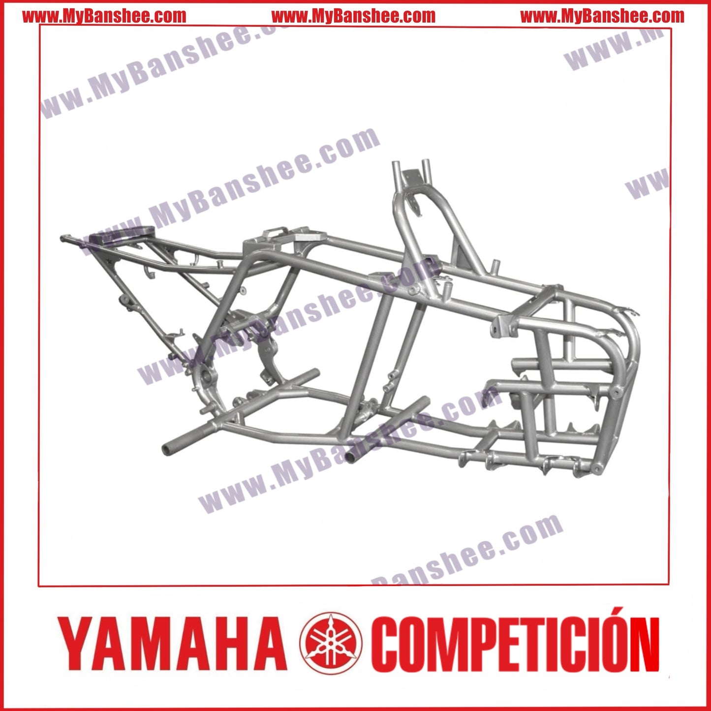 Lone Star Racing Chassis