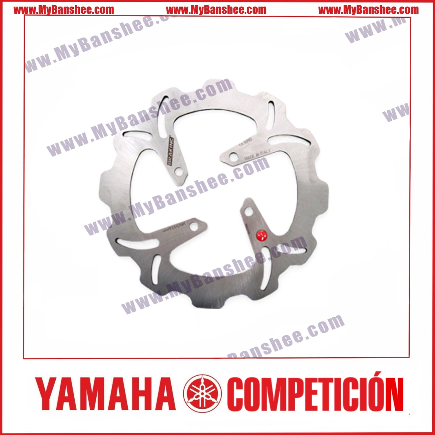 Braking Rear Brake Disc