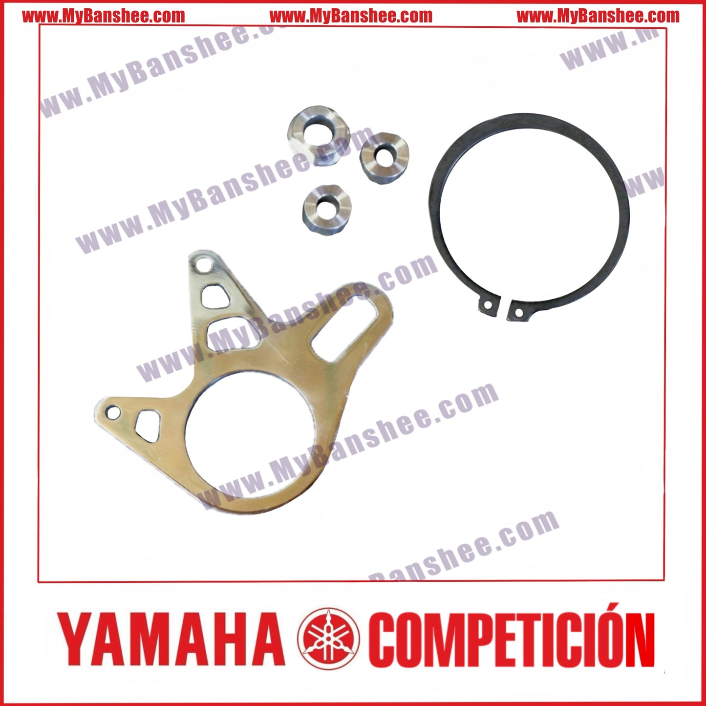 Rear Caliper Support (Eccentric Bushing)